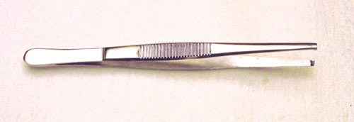 Tissue Forceps 5 1x2 Teeth
